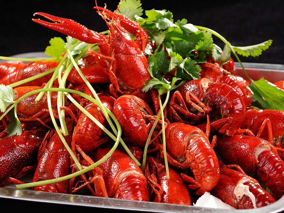 鹵煮小龍蝦培訓菜品展示3